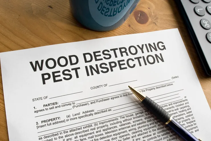 Termite Trackers